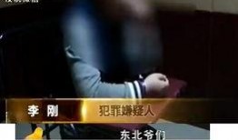马哥新闻爆料视频大全最新,揭秘热点事件背后的真相